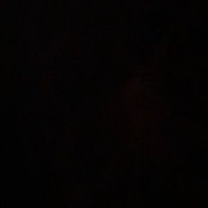 Meet your Posher, Dom